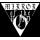 Mirror Of The Void