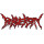 Perversity