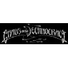 Chaos And Technocracy