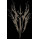 Funeral Inconscientemente Natural