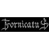 Fornicatus