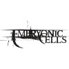 Embryonic Cells
