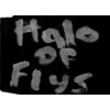 Halo Of Flys