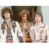 Cream (2)