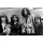The Amboy Dukes