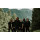 Dark Tranquillity
