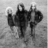 Blue Cheer