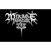 Mirage Asylum