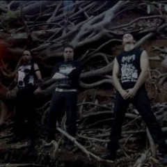 Journal