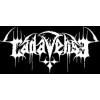 Cadaverise