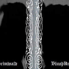 Journal