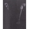 Eerified Catacomb / Night's Threshold