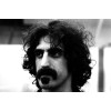 Frank Zappa, The Mothers
