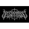 Elseetoss