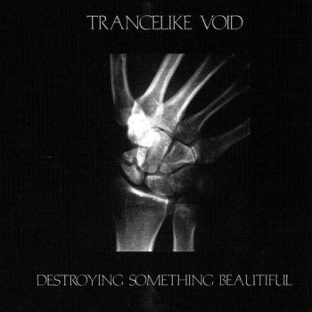 Trancelike Void ‎– Destroying Something Beautiful