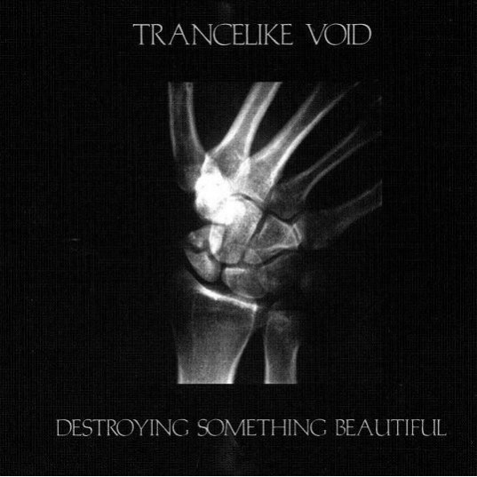 Trancelike Void ‎– Destroying Something Beautiful