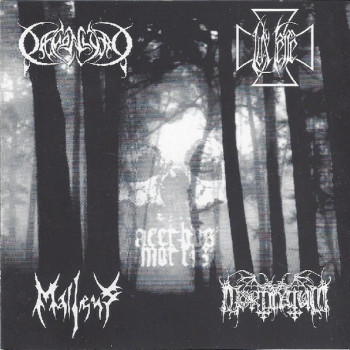 Daemonlord / Lux Ferre / Malleus / Mortinatum - Acerbus Mortis (4way split)