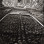 Eliminator (7) - Krieg Thrash