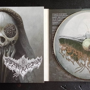 Evaporation - The Path Of The Moth
