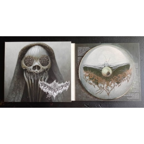 Evaporation - The Path Of The Moth