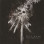 Fell Ruin - To The Concrete Drifts