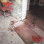 Halo Of Flys - Bloodier Shade Of Red
