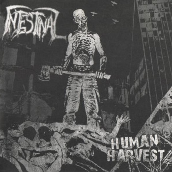 Intestinal - Human Harvest
