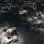 Isolated (4) - Absolute Obscurity