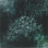 Mortal Wish - Occultum