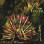 Nocta - Wicked Woman