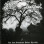 Nocturnal Amentia / Black Grave - The Last Exhalation Before The End