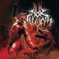 Nox Illunis - Metempsychosis