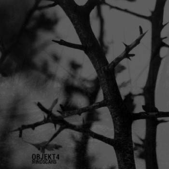 Objekt4 - Mindscars