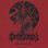 Orthodoxy - Shaarimoth