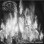 Amnion - Burn The Forest