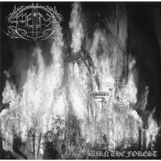 Amnion - Burn The Forest