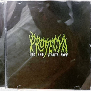 Profecya - The End Starts Now