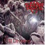 Spider Kickers - VIII Division