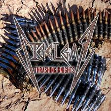 Steelgar - Thrashing Kinghts