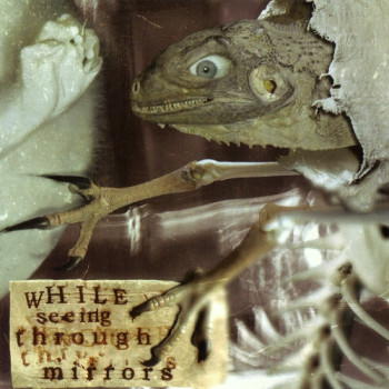 Various - While Seeing Through Mirrors