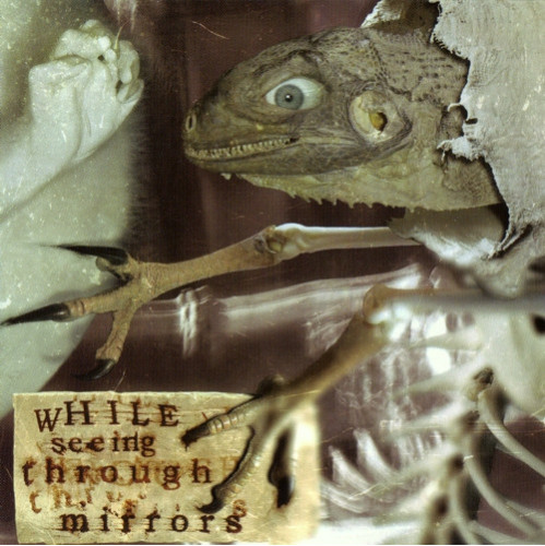 Various - While Seeing Through Mirrors