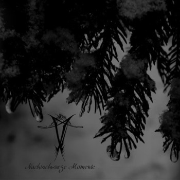 Vinterriket - Nachtschwarze Momente