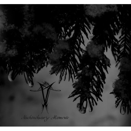 Vinterriket - Nachtschwarze Momente