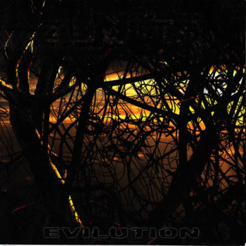 Zenith (22) - Evilution