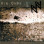 Hin Onde - Songs Of Battle