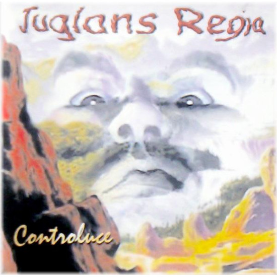 Juglans Regia - Controluce