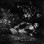 Cryptic Wanderings / In The Shades - Cryptic Wanderings / In the Shades