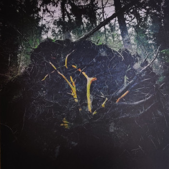 Aūkels - Raynkaym