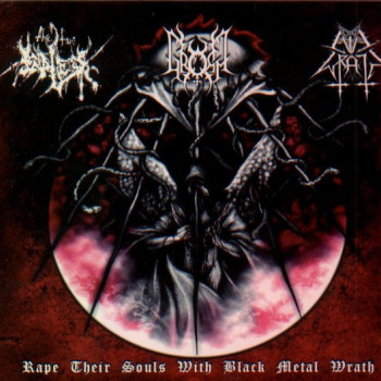 Evil Wrath / The True Endless / Gromm - Rape Their Souls With Black Metal Wrath