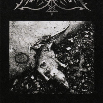 Shadows Ground - First Fucking Crime